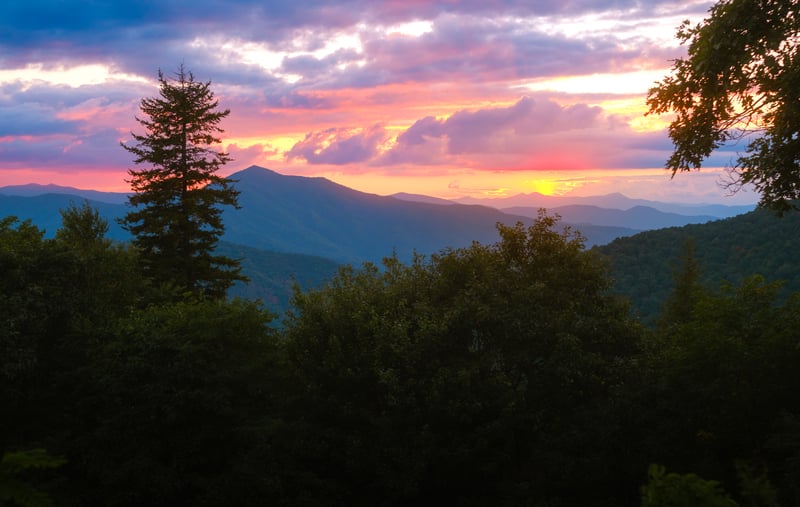 Photography by Byron Johnson - c075f446-a124-4cf8-510c-ff5654627100
