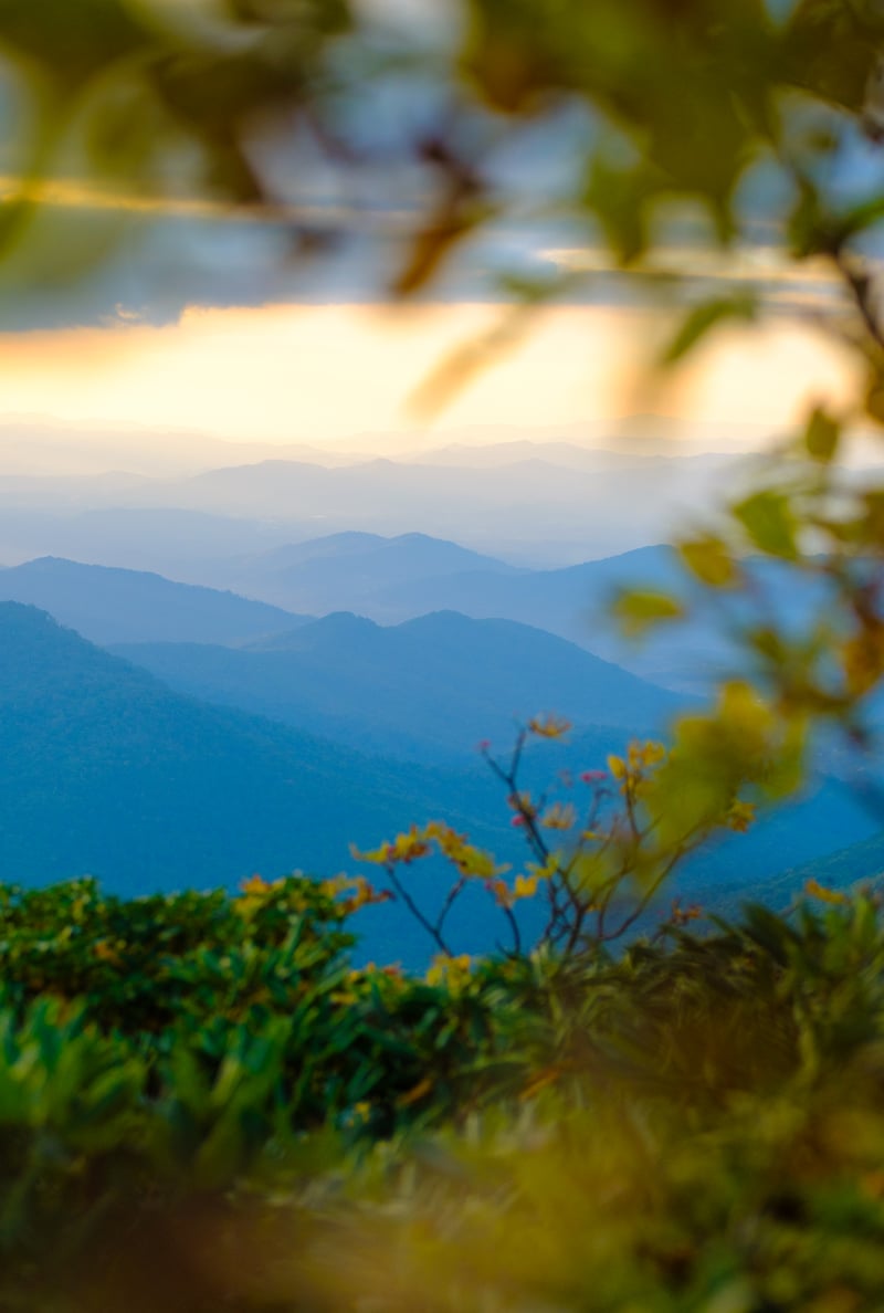 Photography by Byron Johnson - c2b8e664-ecb1-4d90-1575-c88d1619f900