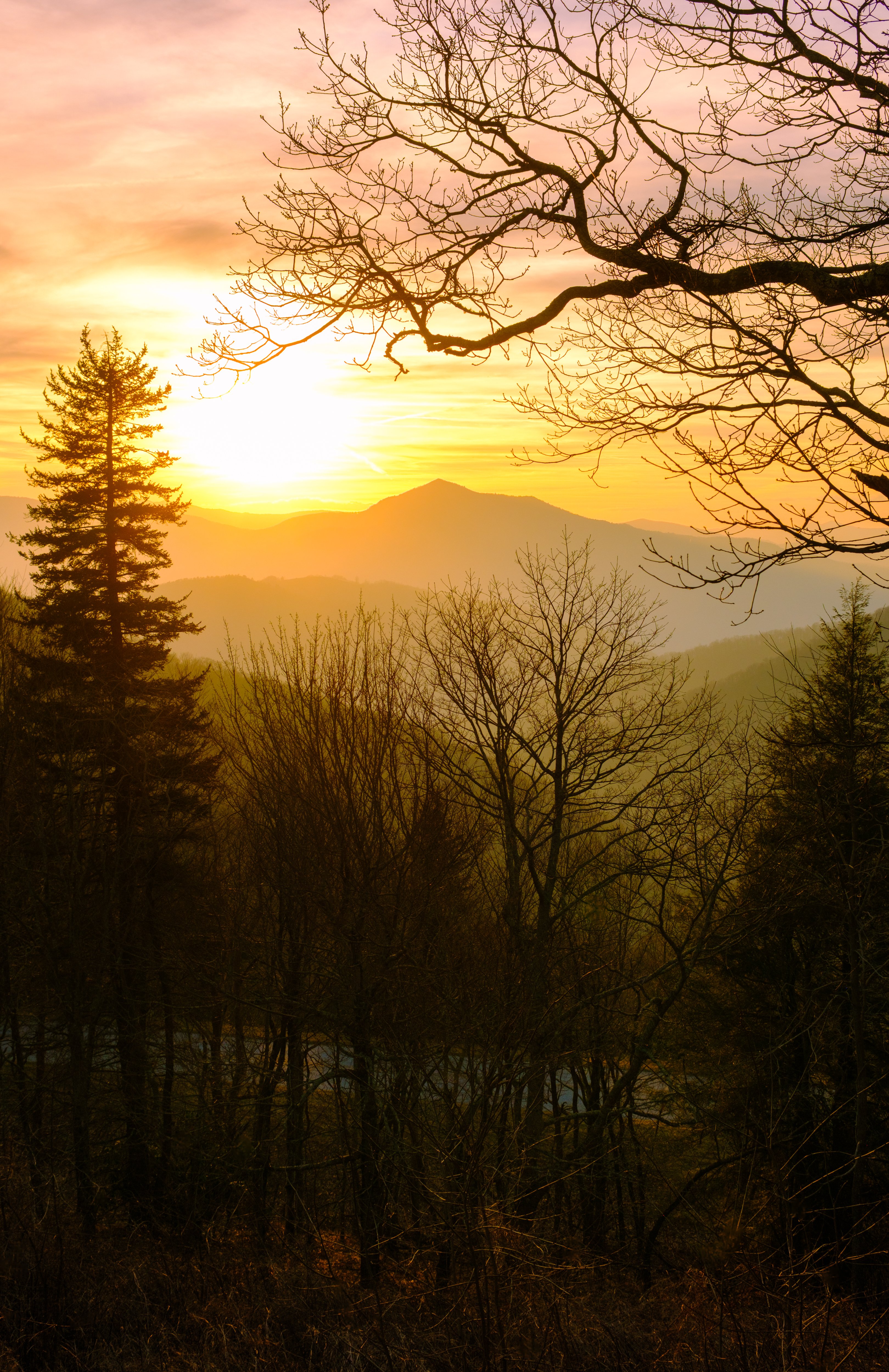 Photography by Byron Johnson - db186dee-3e62-4925-79a7-b5fa0c594600