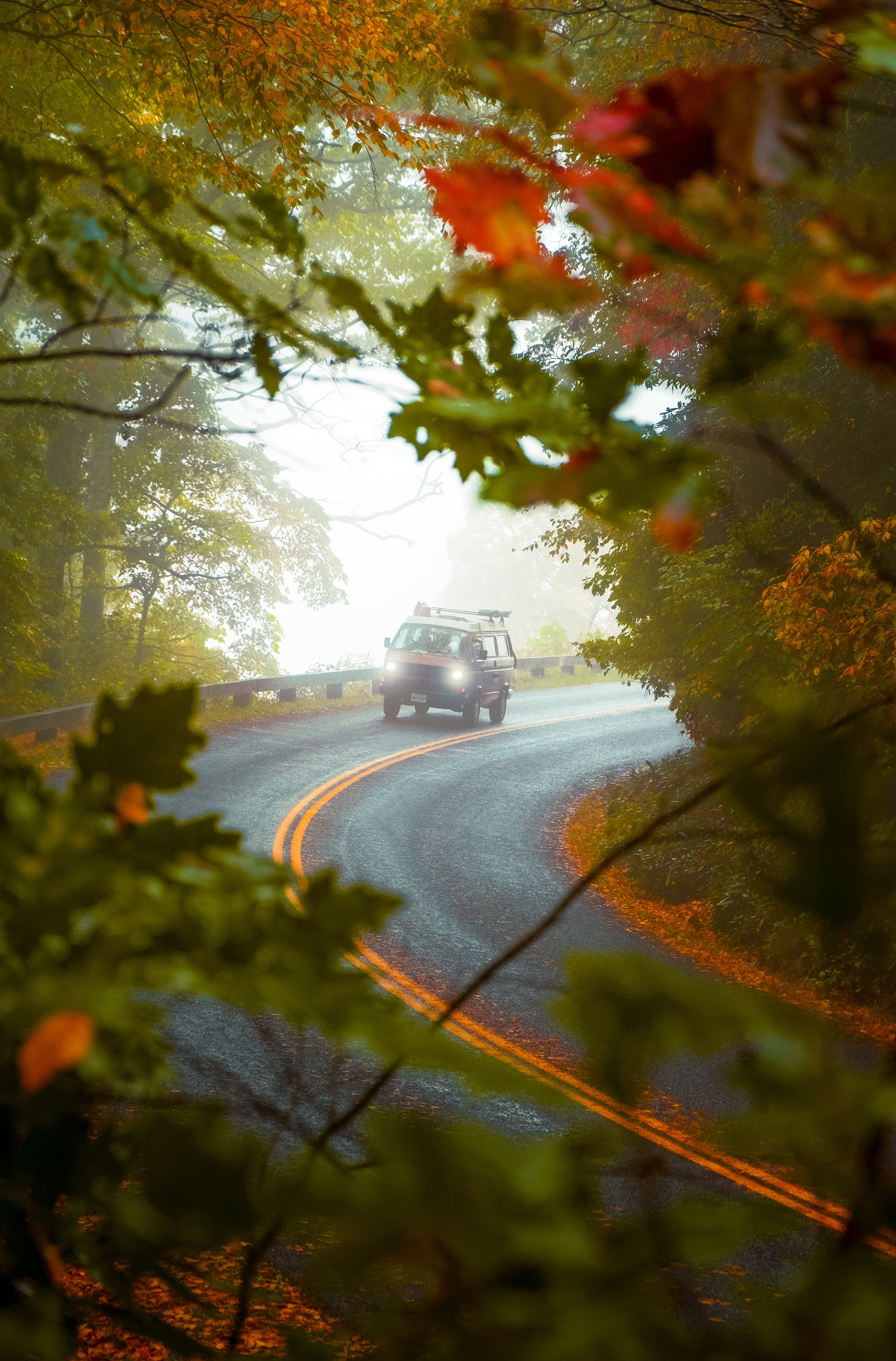 Photography by Byron Johnson - e69aab65-1f5d-40e0-6fb1-3deca83ac000