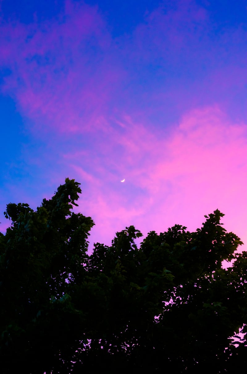 Photography by Byron Johnson - eaa21572-3332-45b5-07ef-8c35bf1b3600