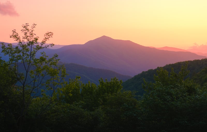 Photography by Byron Johnson - ed342b29-1bdb-4e69-468c-d35df7b70a00