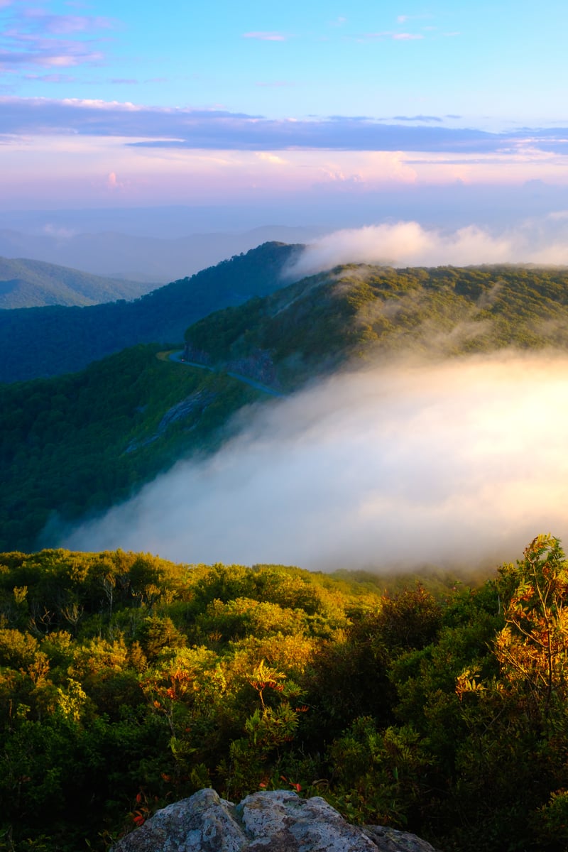 Photography by Byron Johnson - f297e53b-c88c-42bb-506b-b02800a4bf00