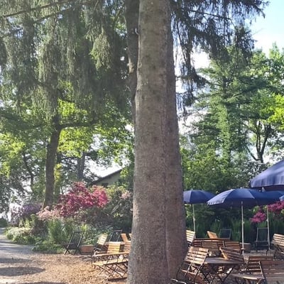 Shaded seating under tall fir trees, furnished with wooden furniture and blue umbrellas. Blooming rhododendrons in background.