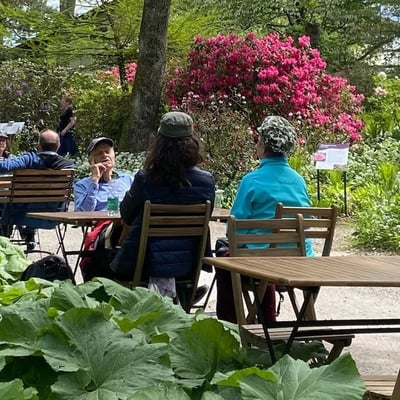 Relaxed atmosphere at the Park Bistro Seleger Moor.