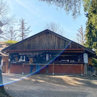 The park bistro at Seleger Moor is nestled within the beautiful rhododendron park