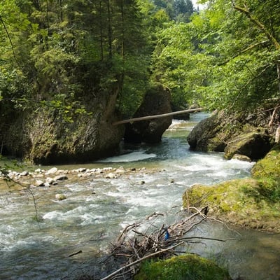 Wunderschöne Wanderung entlang der Sihl von Sihlbrugg aus