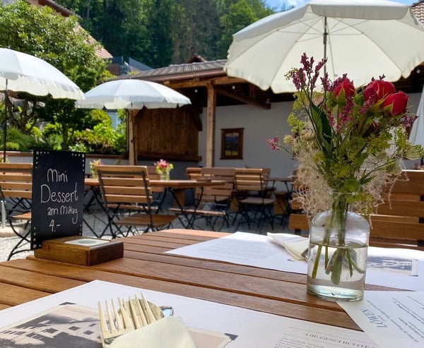 An idyllic summer evening in the Löwen garden.