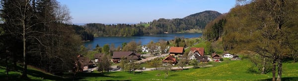 The Türlersee Camping Restaurant and Beach Resort is nestled within an intact nature reserve in the Canton of Zurich.