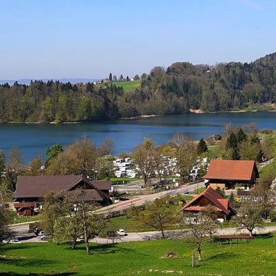Das Türlersee Camping Restaurant Strandbad ist eingebettet in ein intaktes Naturschutzgebiet im Kanton Zürich.