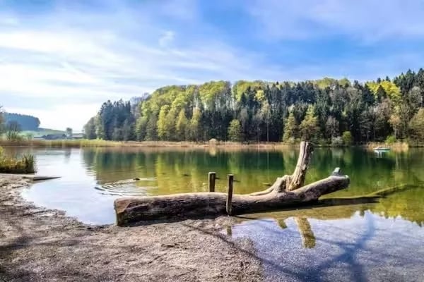 Am Horn ist es besonders idyllisch. Der Baumstamm ist bekannt und macht ein besonderes Ambiente.