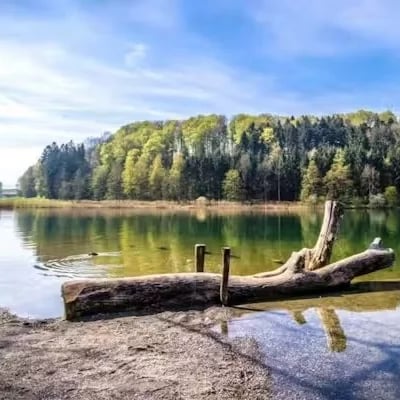 Am Horn ist es besonders idyllisch. Der Baumstamm ist bekannt und macht ein besonderes Ambiente.