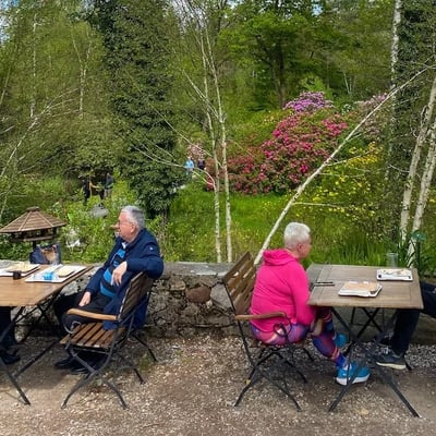 Spring dining among blooming rhododendrons at Seleger Moor.