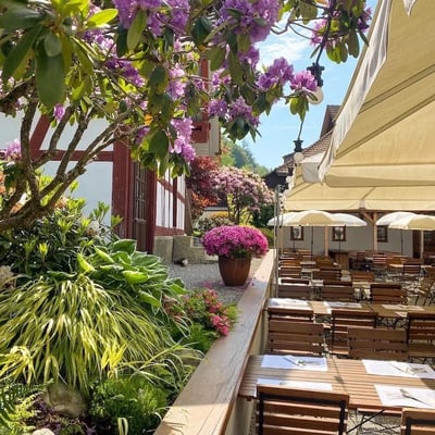 Umgeben von blühenden Pflanzen und historischen Gebäuden ist der Löwen-Biergarten in Hausen am Albis eine regionale Attraktion