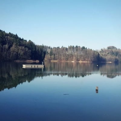 Badi Türlersee in Hausen am Albis mit Sprungbrett und Floss.