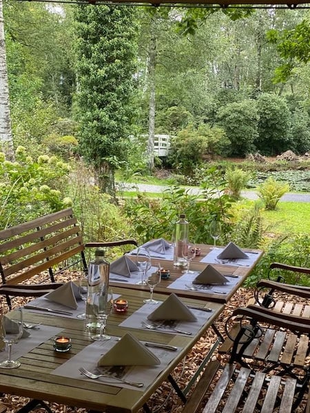 In Park Seleger Moor, it is magical