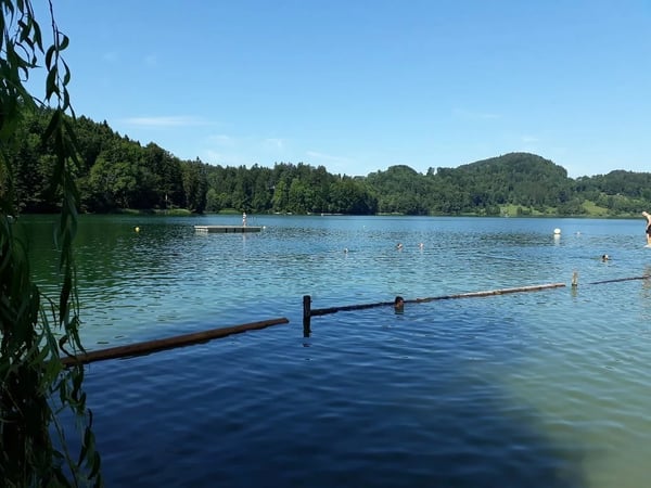 Schwimmen im Türlersee ist immer etwas Besonderes. Die Atmosphäre im Naturschutzgebiet ist unbeschreiblich schön.