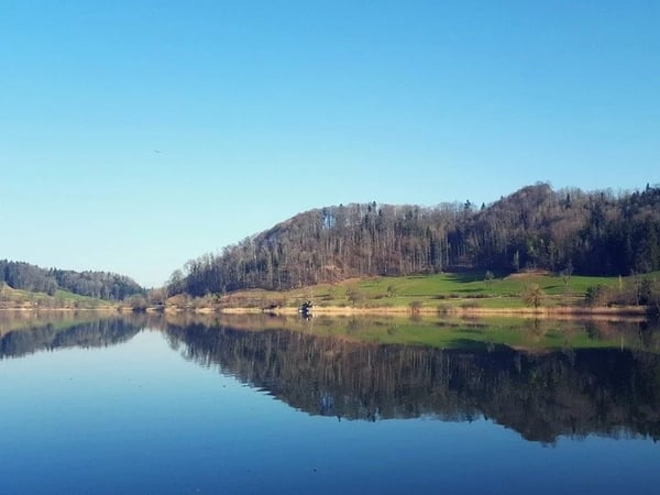 When Türlersee is completely calm, the surrounding nature reserve is beautifully reflected in the lake.
