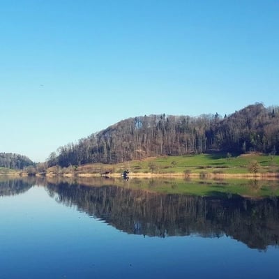 Wenn der Türlersee ganz ruhig ist, dann spiegelt sich das umliegende Naturschutzgebiet wunderschön im See.