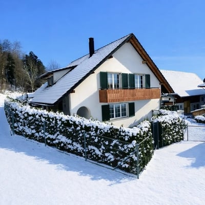 Villa Albis im Winter