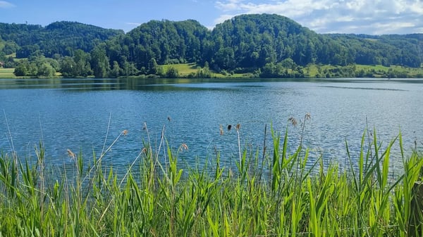 Der Türlersee ist ein schön gelegener Badesee in Hausen am Albis mit Strandbad, Restaurant und Campingplatz