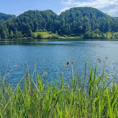 Der Türlersee ist ein schön gelegener Badesee in Hausen am Albis mit Strandbad, Restaurant und Campingplatz