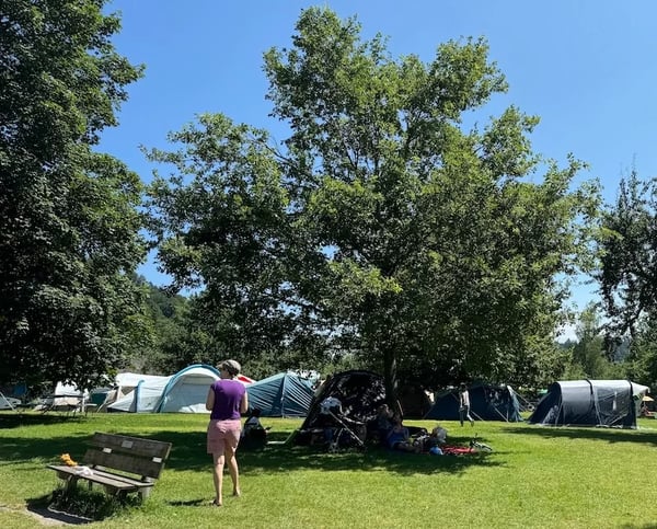Der Zeltplatz am Türlersee ist direkt hinter der Badewiese