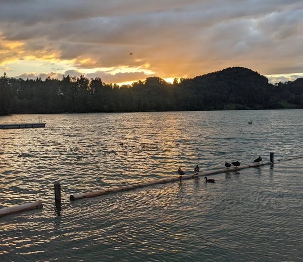 The evening atmosphere at Türlersee is breathtakingly beautiful.