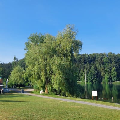 SUP-Verleih in der Badi
