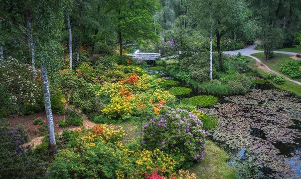 Der Park Seleger Moor gehört zu den wichtigsten Hochmooren im Kanton Zürich