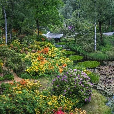 Der Park Seleger Moor gehört zu den wichtigsten Hochmooren im Kanton Zürich