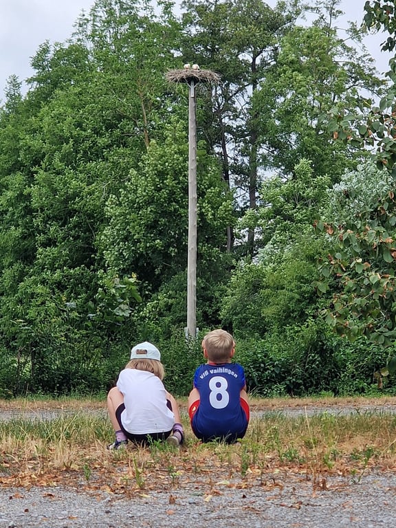 Wettbewerbsfoto