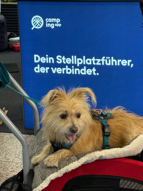 Wettbewerbsfoto
