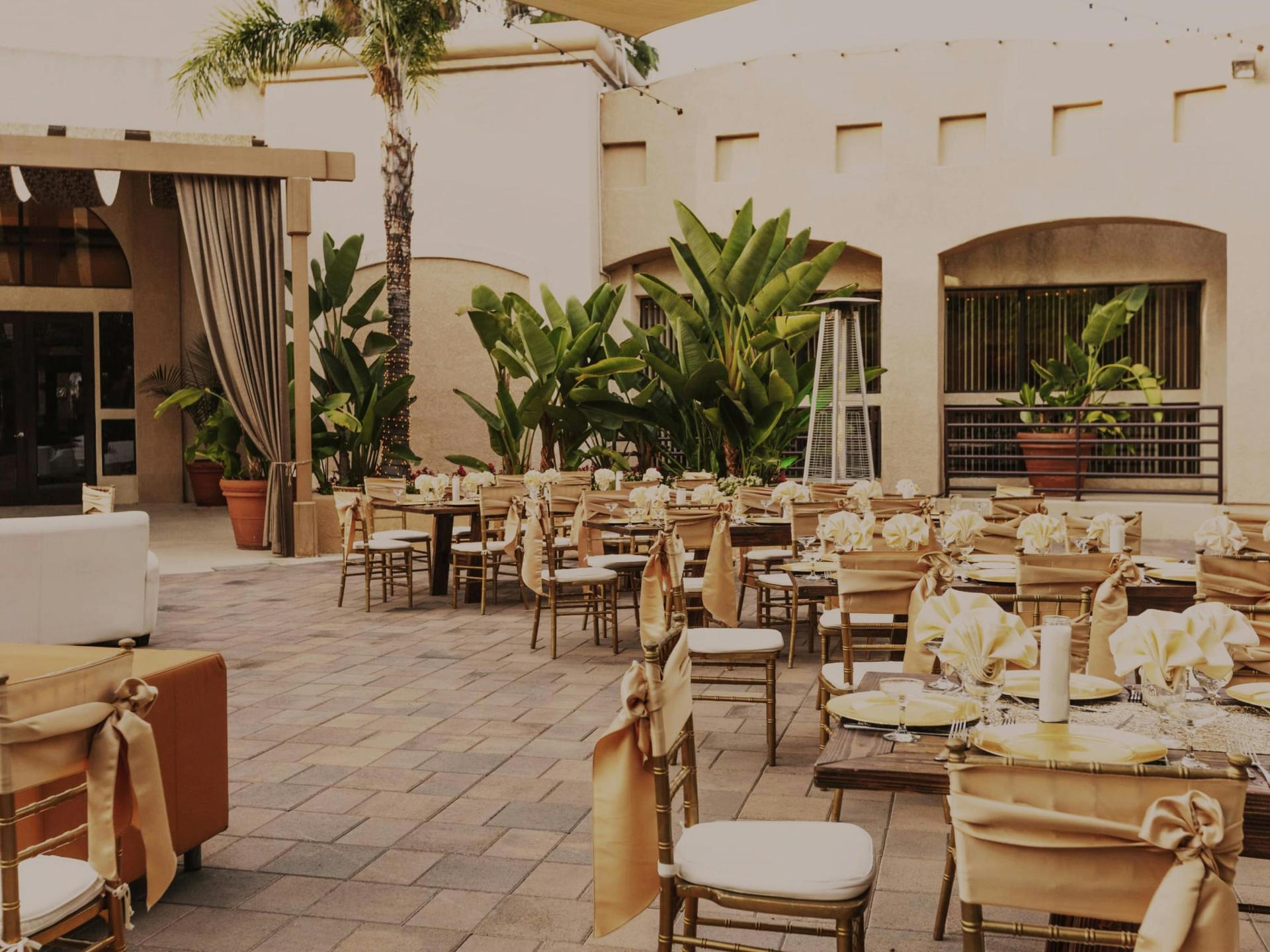 Palm Terrace long exposure: string lights, palm trunks, evening sky.