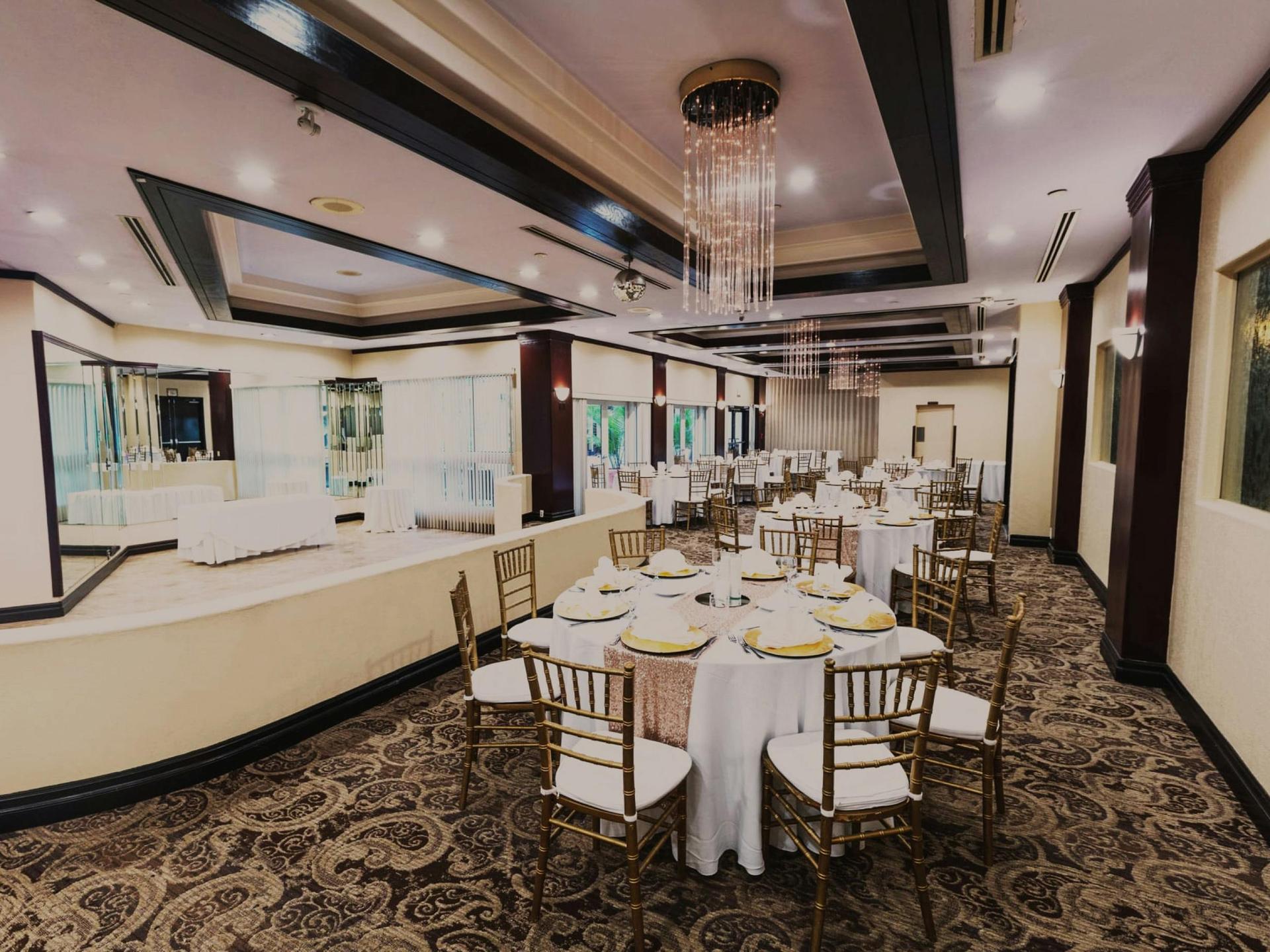 Social/Wedding Setup