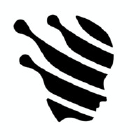 Clinomic.ai logo