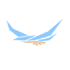 BirdsEyeView logo