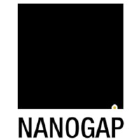 Nanogap logo