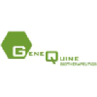GeneQuine Biotherapeutics GmbH logo