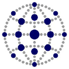 Spider Capital