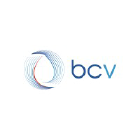 Basecamp Vascular logo