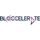Bloccelerate VC