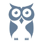 CyberOwl logo