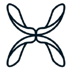 Skyseed logo