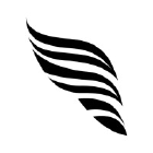 Touchlight logo