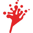 Chromologics logo