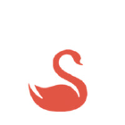 Red Swan Ventures