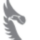 RaptorPM logo