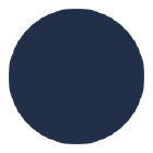 Schwarz Group