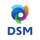DSM Venturing